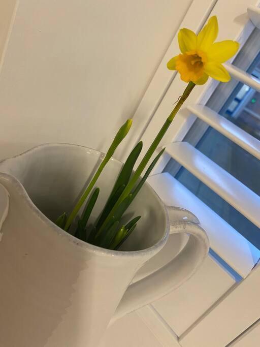 Unrivalled Location - Five Star - Worcester Apartment 외부 사진